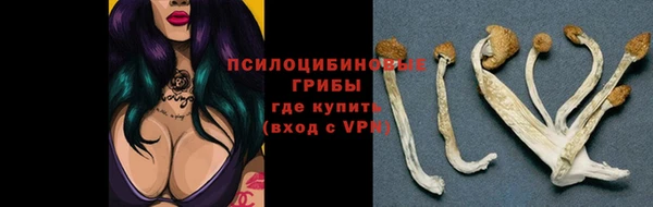 МДПВ Гусев
