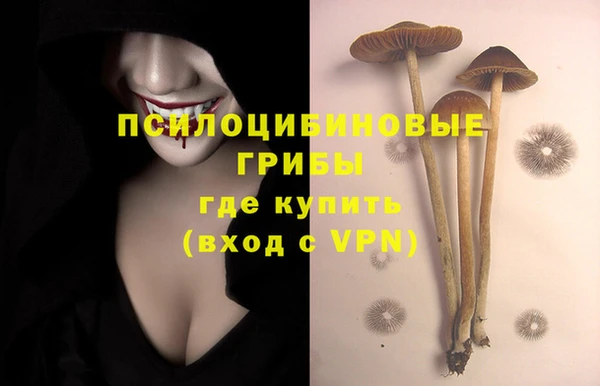 спиды Гусь-Хрустальный