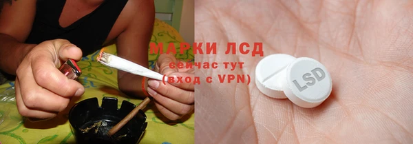 spice Гусиноозёрск