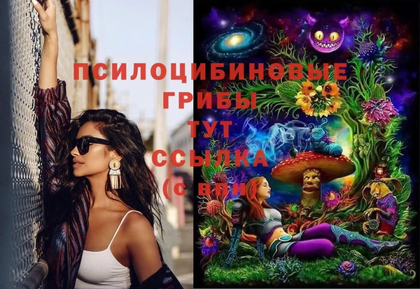 spice Гусиноозёрск