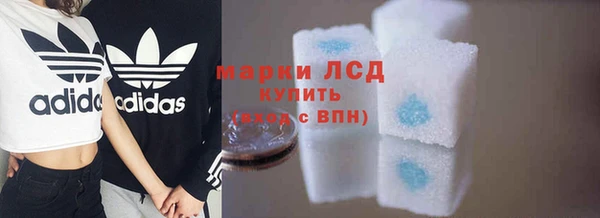 spice Гусиноозёрск
