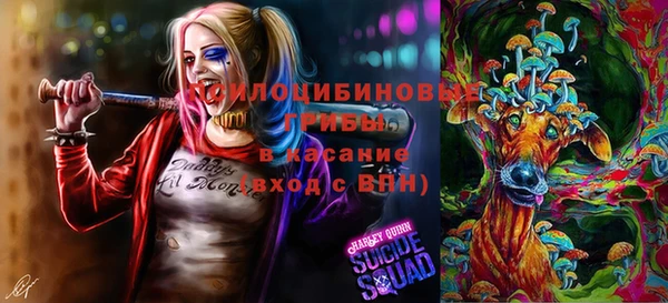 spice Гусиноозёрск