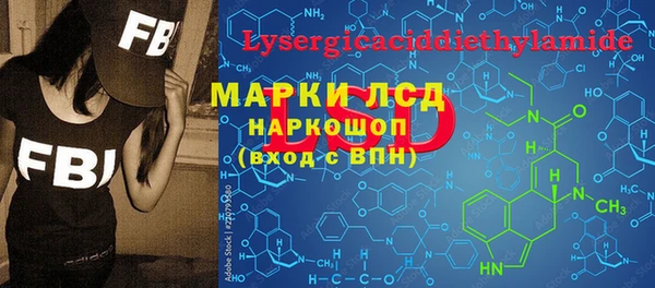 spice Гусиноозёрск