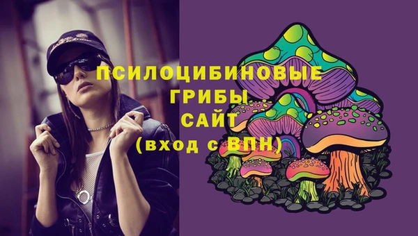 МДПВ Гусев