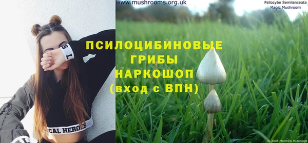 МДПВ Гусев