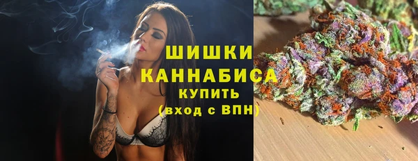 МДПВ Гусев