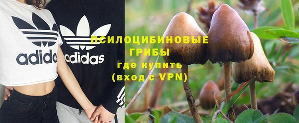 МДПВ Гусев