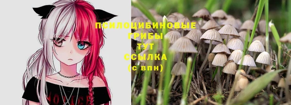 МДПВ Гусев