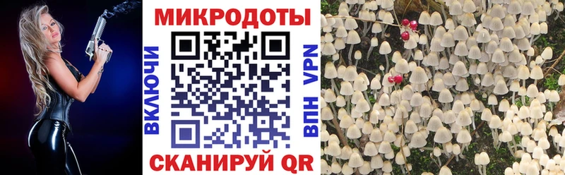 Псилоцибиновые грибы прущие грибы  Купить закладки  Протвино 
